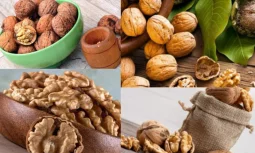 Walnut Nutritional Value and Health Benefits