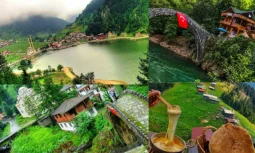 An Unforgettable Journey in the Embrace of Nature with a Black Sea Tour