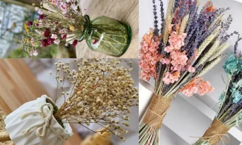 Kurutulmuş Çiçek Dekorasyonu ve Ev Ortamına Katkıları