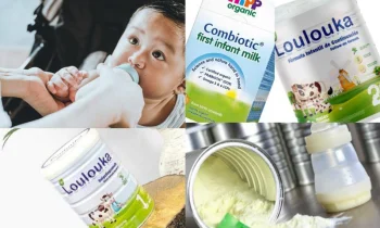 Loulouka Baby Formula Nedir?