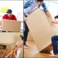 What are Heavy Item Transport Systems?