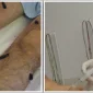 Tıbbi Sülük Tedavisinin Genel Etkileri