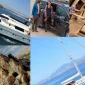 Vip Transfer Hakkında