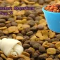 Köpeğiniz İçin Mama Seçerken Nelere Dikkat Etmelisiniz?