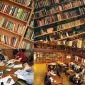 The Importance and Role of Libraries