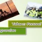 Yabancı Personel Çalışma İzin Başvuruları