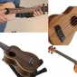What is a Ukulele?