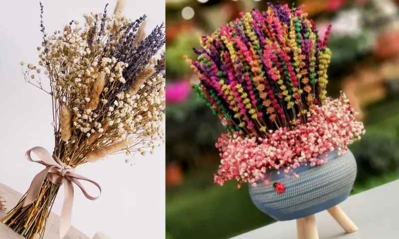 kurutulmuşcicek-2-li-1